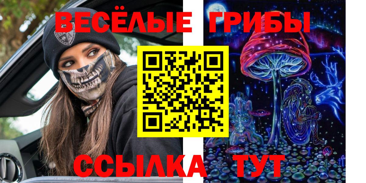 Асино  Галлюциногенные грибы Psilocybine cubensis  Вход с VPN  Галлюциногенные грибы Psilocybine cubensis 