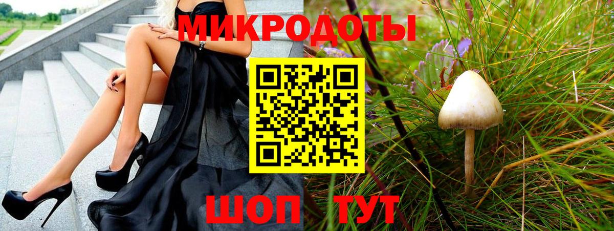 Псилоцибиновые грибы мицелий Асино